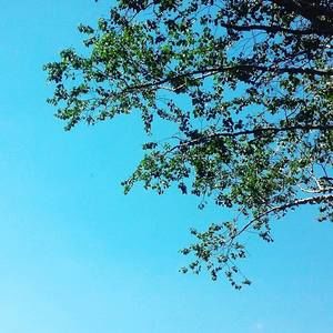 Meet your Posher, Kara